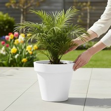 XXL Pflanzkübel -  Diverse Größen - Kunststoff Blumentopf rund Blumenkübel groß