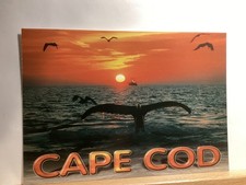 Humpback Whale Tail, Provincetown: Cape Cod, MA - Vintage Postcard