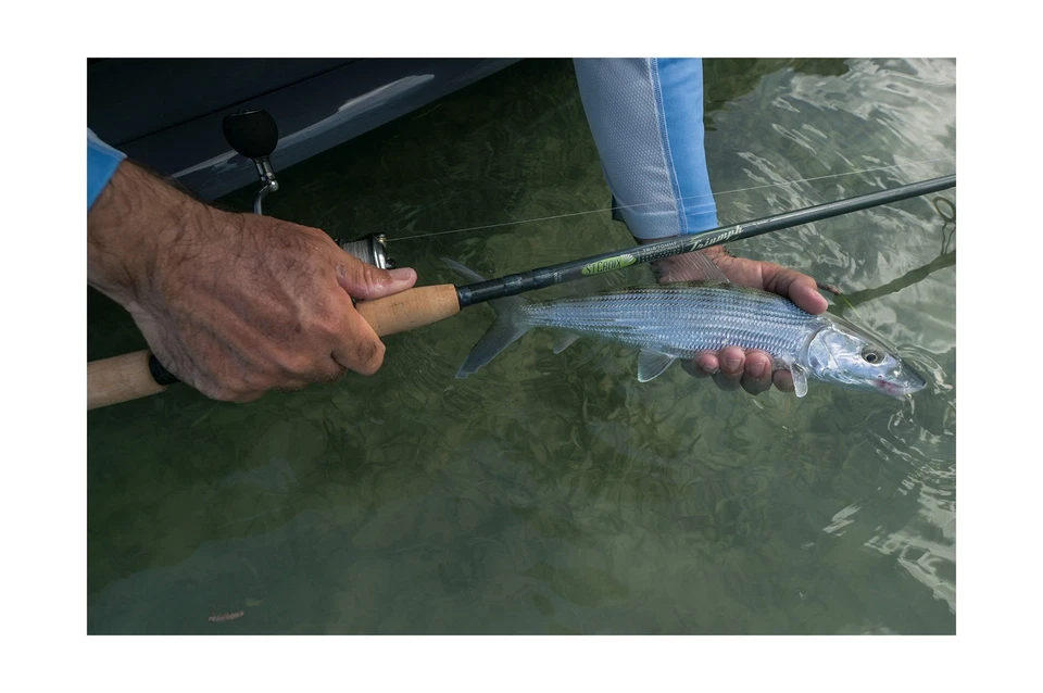 St. Croix Rods Triumph Inshore Spinning Rod, TRIS 7'0" Medium-heavy/Fast 1 Pc. - Image 4 of 4