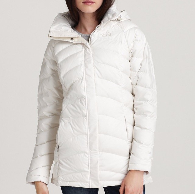 the north face transit down jacket
