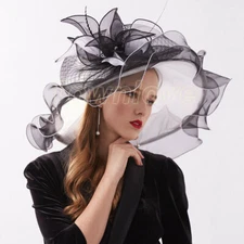 Women's Organza Church Kentucky Derby Fascinator Bridal Tea Party Wedding Hat