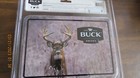 Buck Knife 381 & 133 Large Folder Combo   ( Collectors Tin ) — photo 4