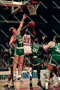 robert parish michael jordan