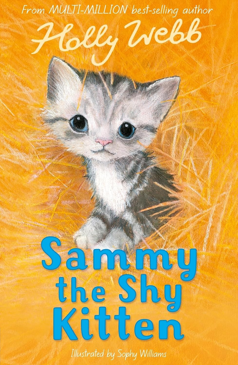 Sammy the Shy Kitten by Holly Webb PAPERBACK 9781847156488 - Image 2