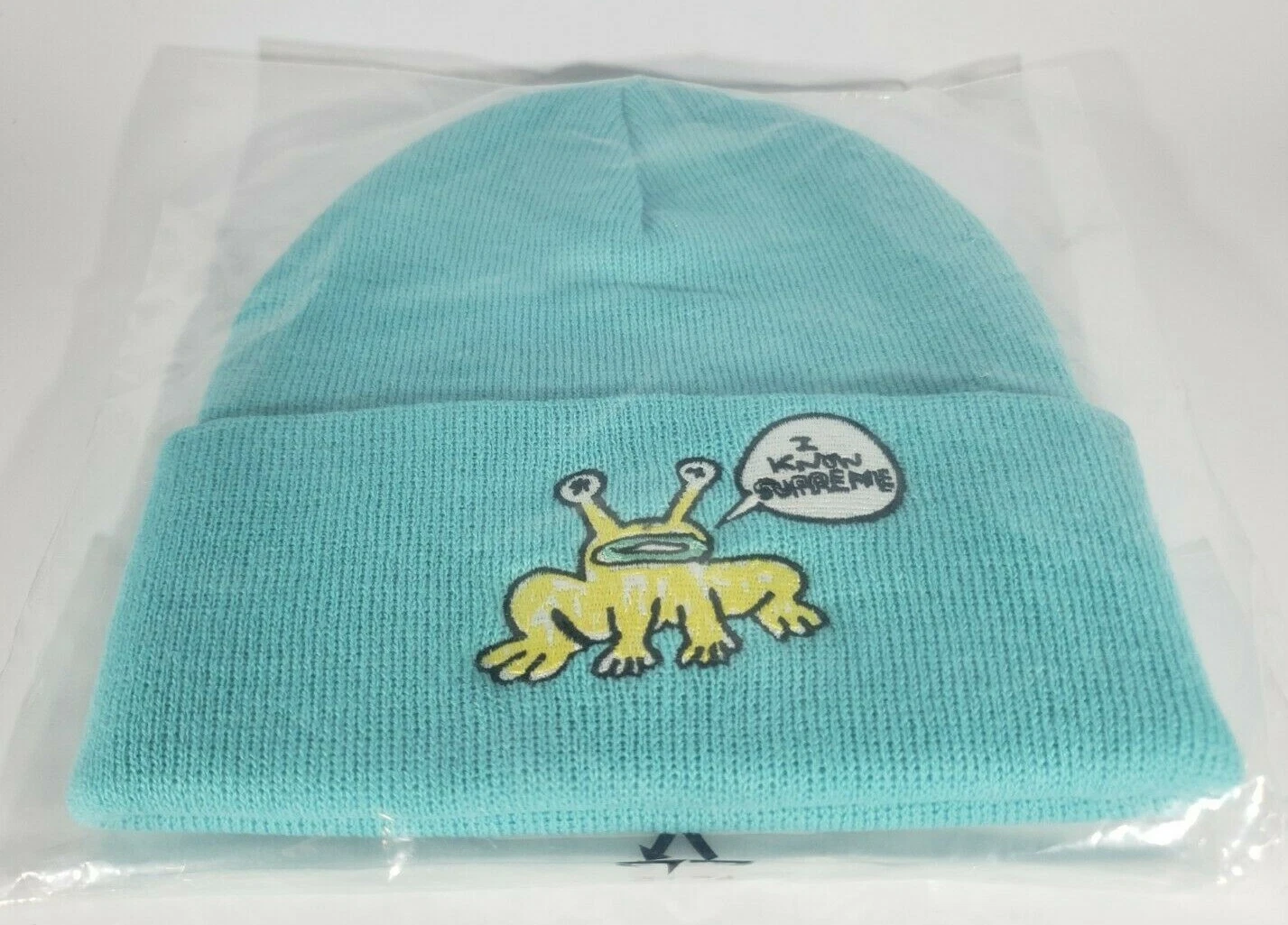 Neuf avec étiquettes chapeau beanie logo grenouille turquoise suprême Daniel Johnston SS20 AUTHENTIQUE