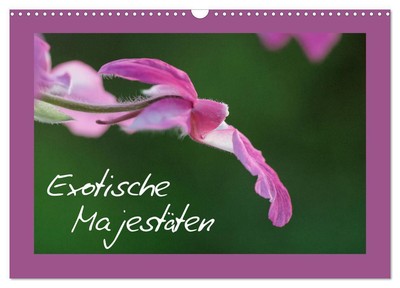 Clemens Stenner | Exotische Majestäten (Wandkalender 2025 DIN A3 quer),...