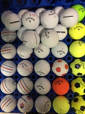 36x A’ Grade Assorted Calloway, As Pictured