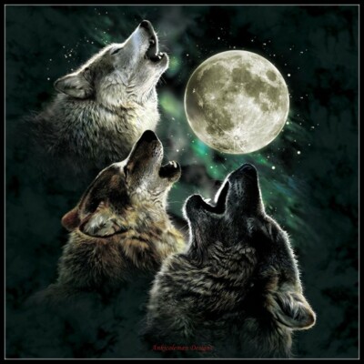 Three Wolf Moon - DIY Chart Counted Cross Stitch Patterns Needlework DMC Color  