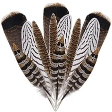  12Pcs Natural Pheasant Feathers 10-30cm 4 Style Feathers Mixed Feathers for 