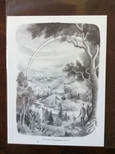 Book Print The New Yorker Cartoon Illustration nice condition 