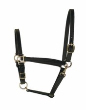 Perri's 3/4-Inch Leather Turnout Halter