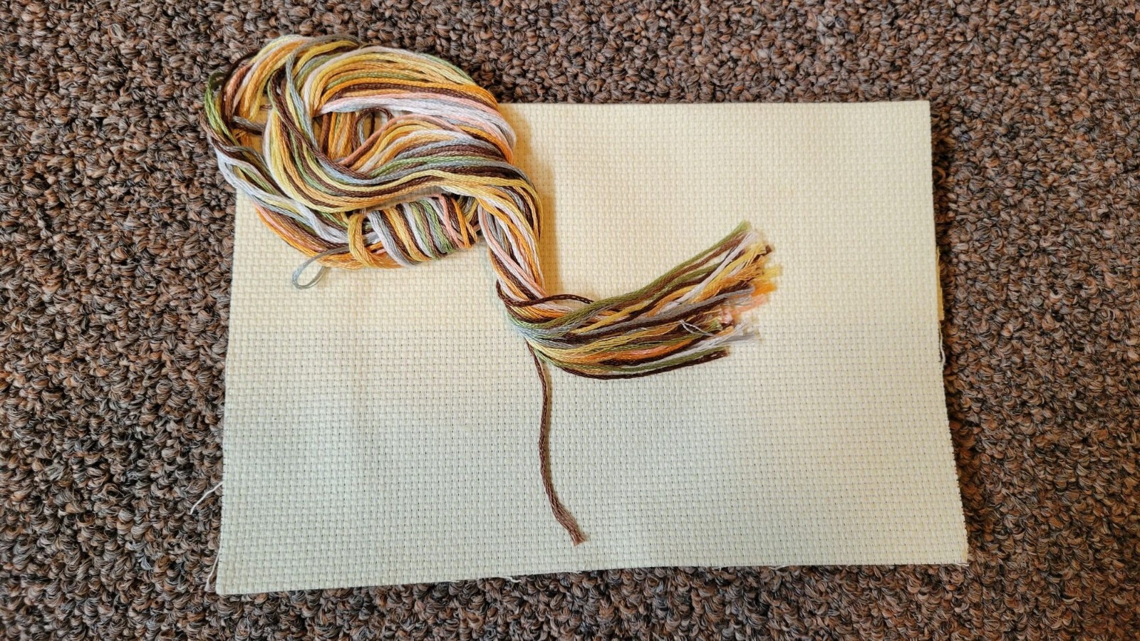 Picture 4 of 5