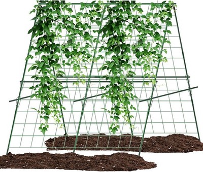 Cucumber Trellis,A-Shape Garden Trellis for Raised Beds with Climbing Net