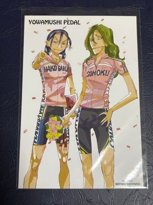 Yowamushi Pedal Maki-shima Tou-dou Maria Rosa Vorteilspostkarte