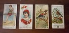 19th Century Early Duke Cigarette And Arm & Hammer Tabacco Cards — photo 1