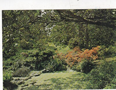 Azalee Dell Dartington Hall Totnes Devon Postkarte unbenutzt sehr guter Zustand