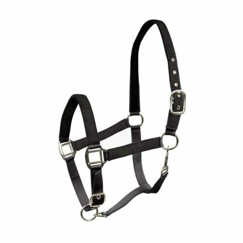 Horze Cesto Portabottiglie Con Ganci - Piccolo E Pratico Per Stalle E Box, Colore Argento - 5