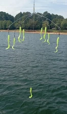 Striper Umbrella Rigs. Ocean and inlet.  Yellow Swimming eels.  Rock Fish.