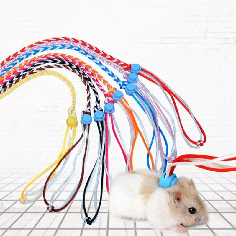 Adjustable Ferret Harness Hamster Pet Rat Mouse Leash Lead Traction Rope