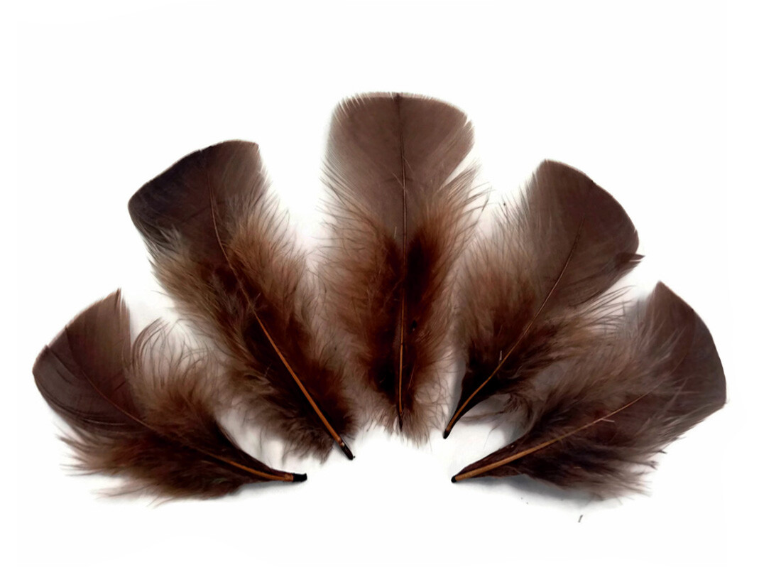 1/4 lb - Coffee Brown Turkey T-Base Plumage Wholesale Feathers (Bulk)