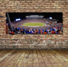 Florida Gators Stadium - Ben Hill Stadium Panoramic Print or Ready to Hang