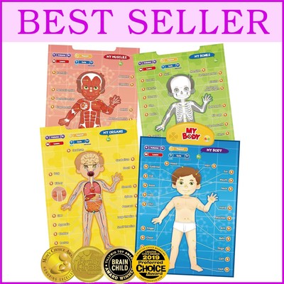 Discover Human Anatomy: Award-Winning Interactive Talking Poster for Kids 5-12