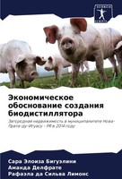 Sara Jeloiza BiguäLini (U. A.) | Jekonomicheskoe Obosnowanie Sozdaniq...