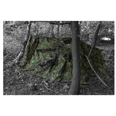 Ghosthood Tarnnetz Recce Net
