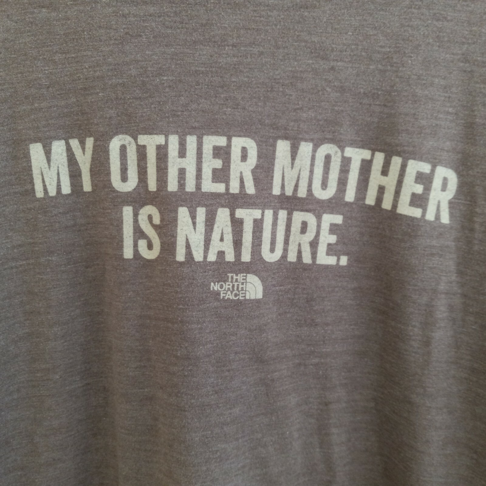 T shirt maglietta The North Face uomo L mia altra madre è natura slim fit marrone