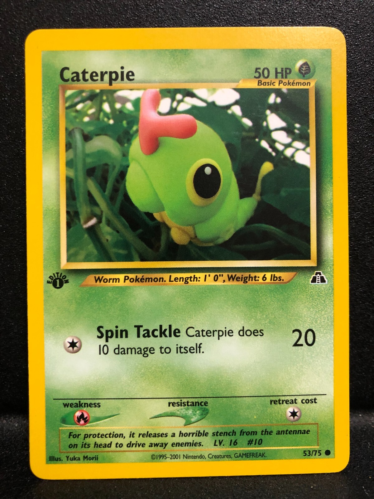 Pokémon TCG Caterpie Neo Discovery 53 Regular 1st Edition Common NM
