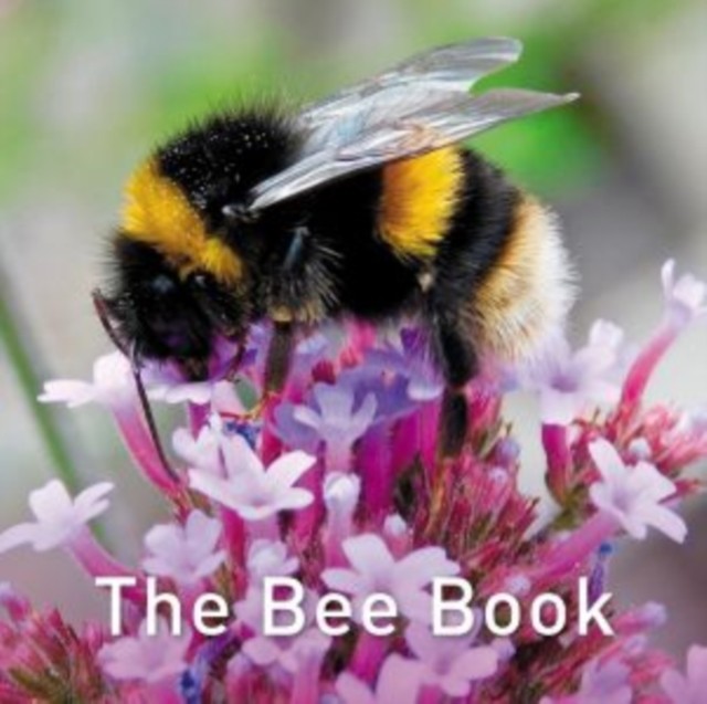 Nature Book Series: The Bee Book by Jo Byrne (Hardback Book)