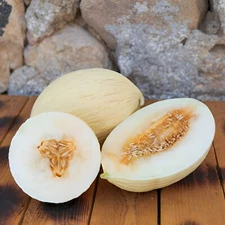 40 Heirloom Branco Do Ribatejo Melon Seeds - Rare Very Sweet Floral White Melon