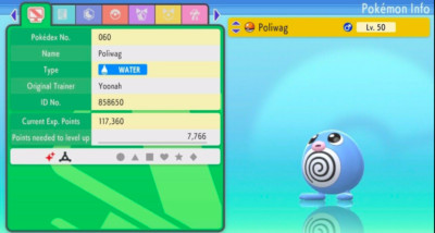 Pokemon Strahlender Diamant & Leuchtende Perle 6IV Shiny POLIWAG MAX EVs