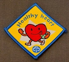 BID51 GIRL GUIDES RANGERS RAINBOWS BROWNIES HEALTHY HEART INTEREST BADGE 
