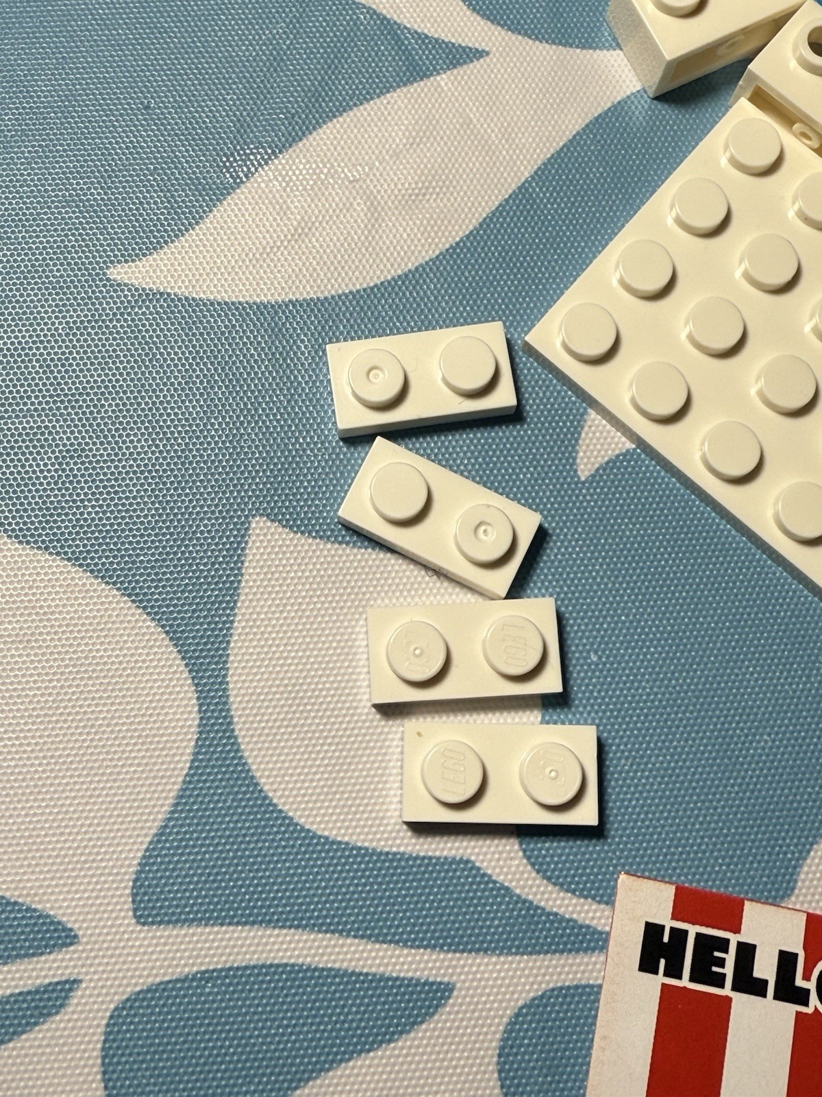 Picture 6 of 6