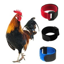 Tkocisa 3 Pack No Crow Rooster Collar, Chicken Collar Anti-Hook Noise Red