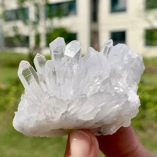 89G Clear Natural Beautiful White Chrysanthemum QUARTZ Crystal Cluster Specimen