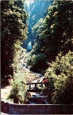 Wahkeena Falls Columbia River Oregon O postal UNP DE COLECCIÓN plástico cromo sin usar