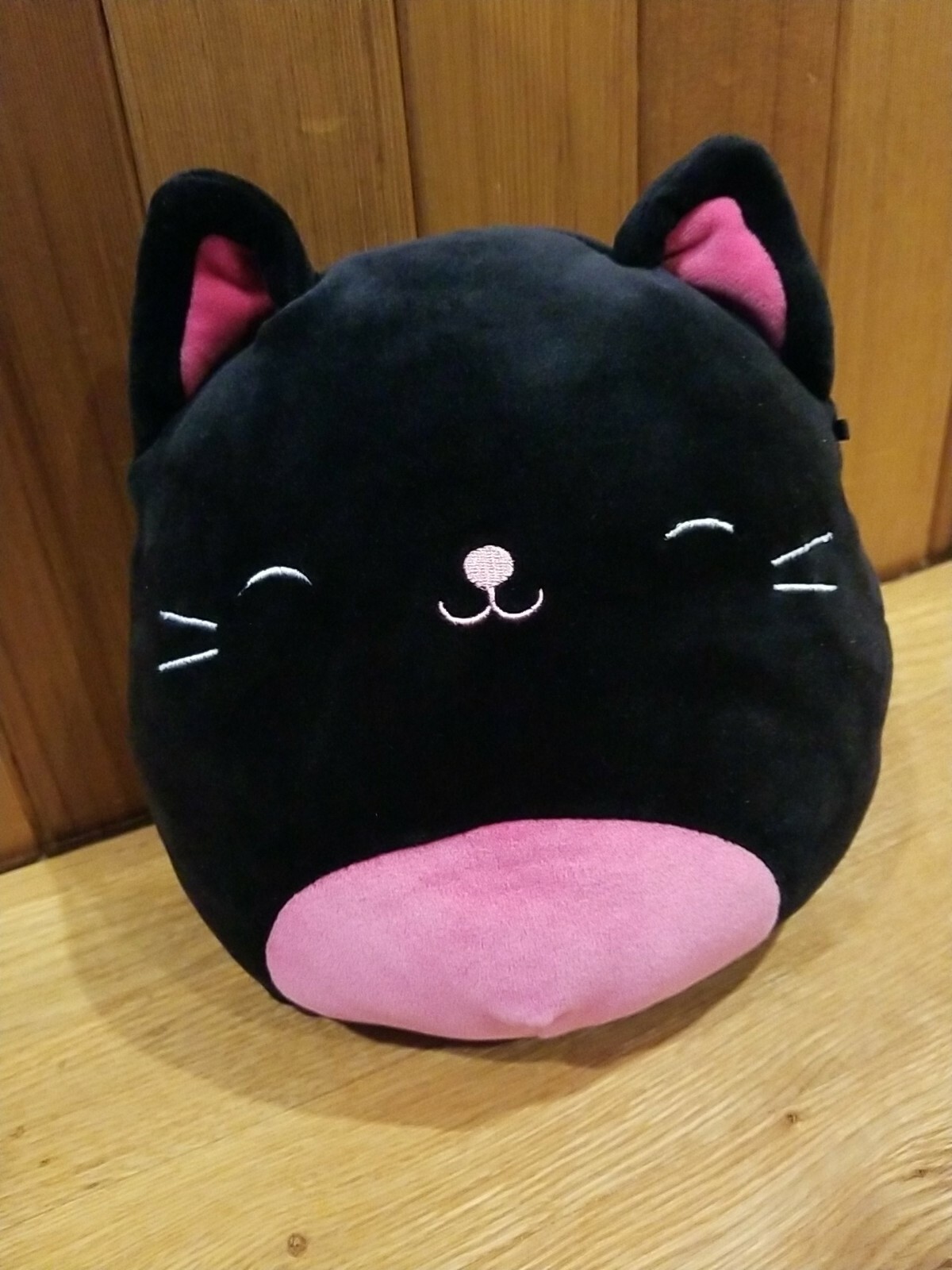 squishmallow catarina