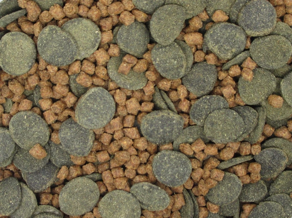 Micro Mix - Sinking Blended Diet for Snails, Shrimp & Bottom Feeding Fish - Image 3 of 3