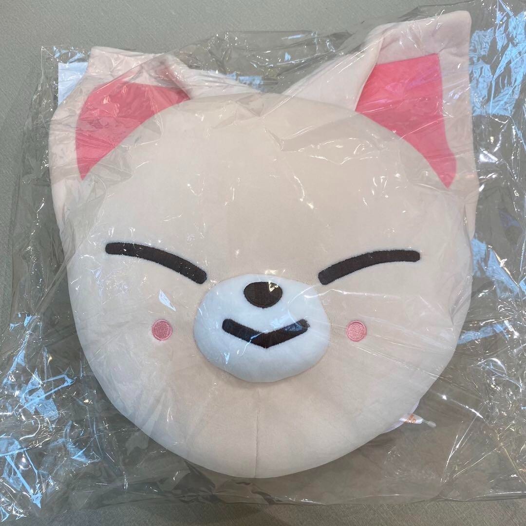 SKZOO クッション　アイエン　Foxl.Ny ＆ポップアップぬいぐるみ straykids suki Skzoo Cushion eyen foxi.ny Plush | eBay