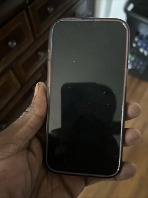 iPhone 13 Pro With Tictok