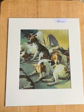 `SUNDAY`- FOXHOUNDS by NEIL CAWTHORNE.  MOUNTED HUNTING PRINT.