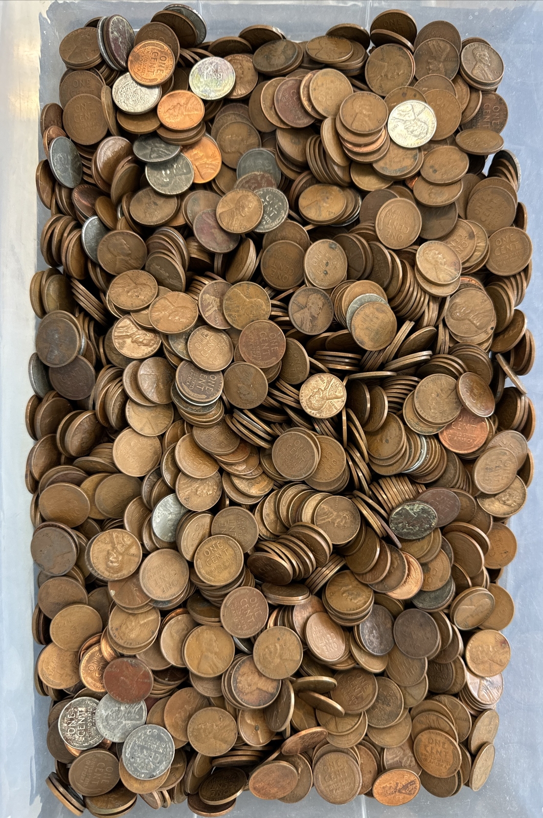 Bag of 5000 1909 1958 Wheat Cents Unsearched Coin Shop Hoard 8 eBay