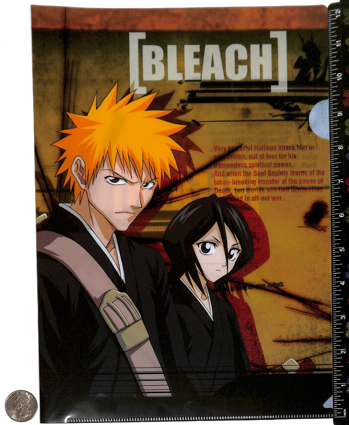 Bleach Clear File Folder A4 1204A Ichigo Kurosaki Rukia Kuchiki Movic ...