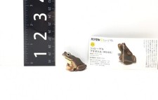 RARE RETIRED Kaiyodo Capsule Q Japan Exclusive Schlegel s Tree Frog Figure B New