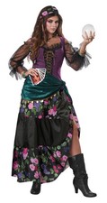 Adult Mystical Charmer Gypsy Fortune Teller Costume 01108