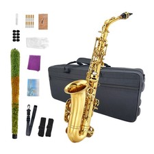 Eb Flat Alto Saxophone Kit for Beginnera Brass Sax with Case Accessories