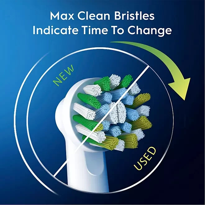 OralB Pro Advantage BatteryPowered Toothbrush 2 Handles + 4 Brush