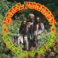 Israel Vibration Strength Of My Life 12\ Album"